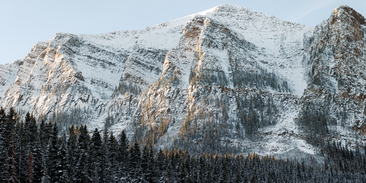 The Importance of Screen-Free Play