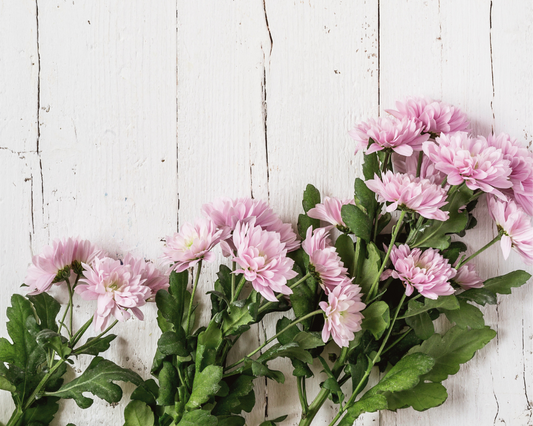 Spring Scavenger Hunt with Kids