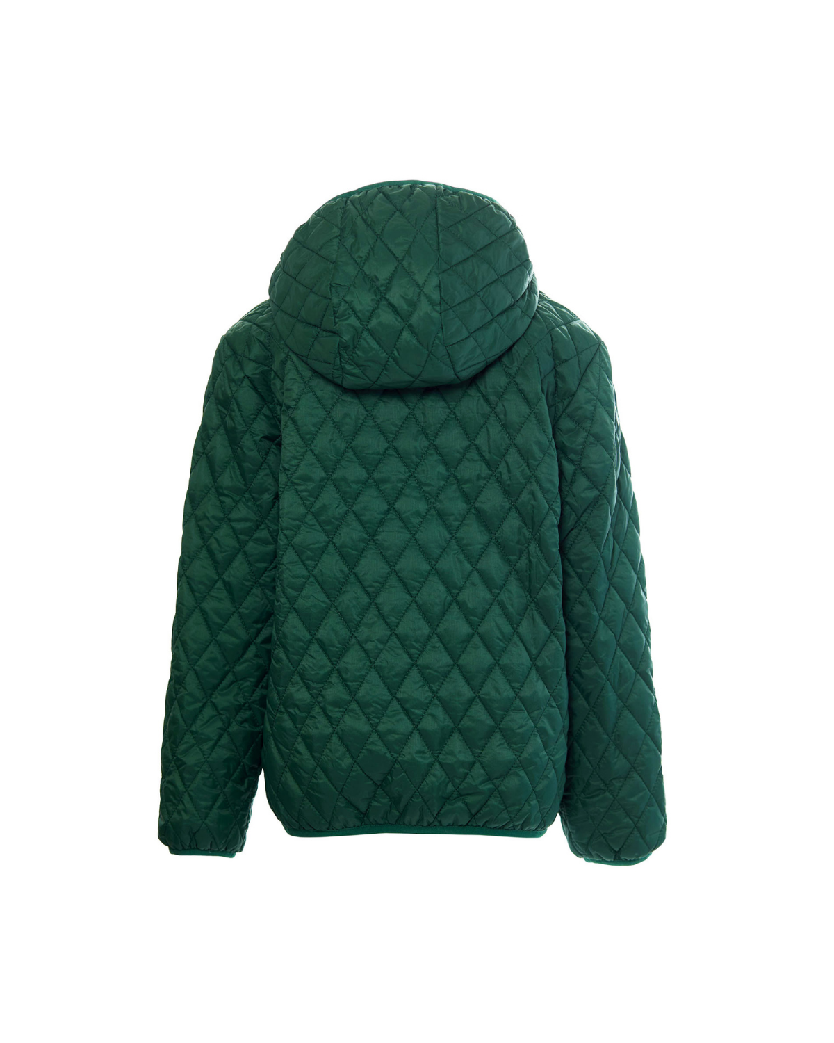 Kids Puffer Jacket in Ivy Green